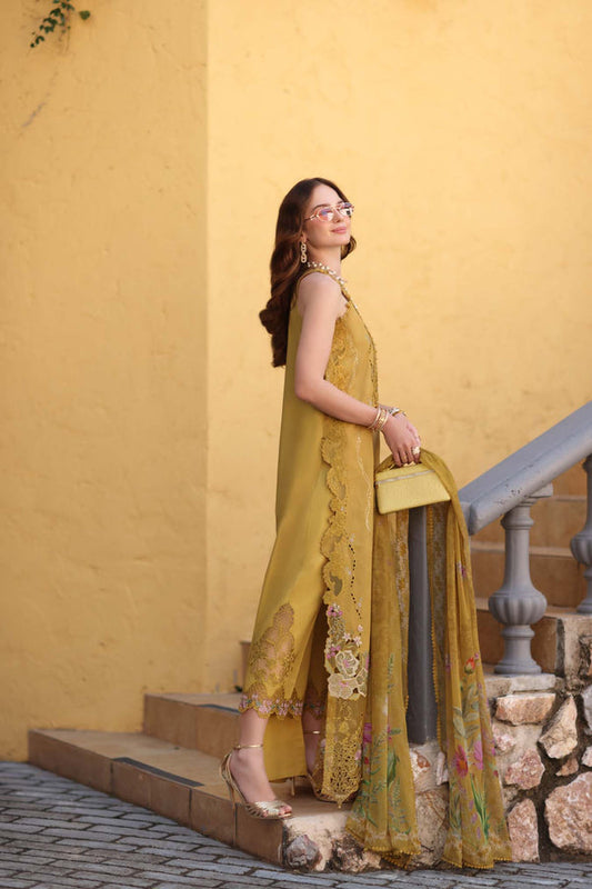Noor Luxe Chikankari-D2 B