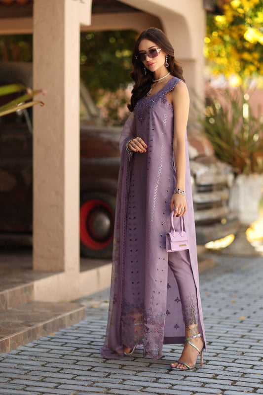 Noor Luxe Chikankari-D4 A