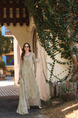 Noor Luxe Chikankari-D7 B