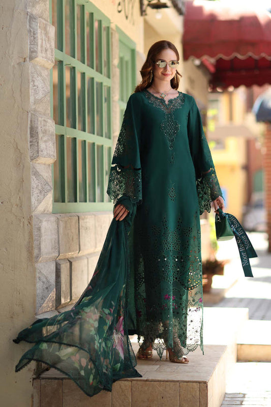 Noor Luxe Chikankari-D6 B