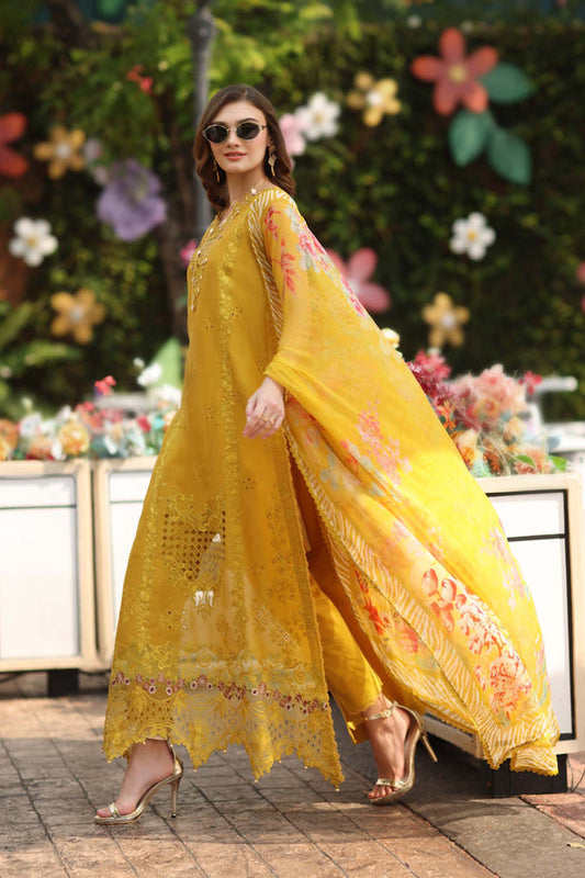 Noor Luxe Chikankari-D10
