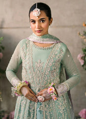 Mushq Mastani Evening Chiffon-D102