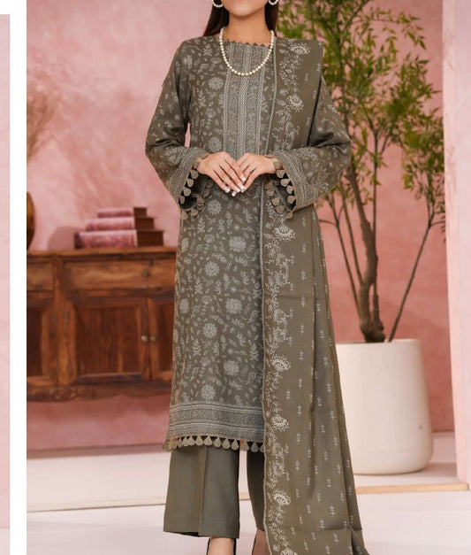 VS Pashmina Printed-D301-C