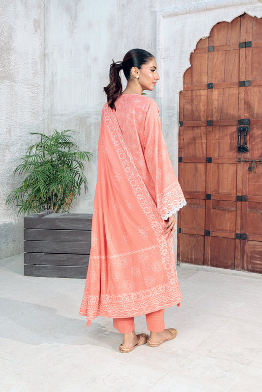 Lakhany Pashmina-LG-IZ-0511-B