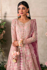 Mushq Mastani Evening Chiffon-D103