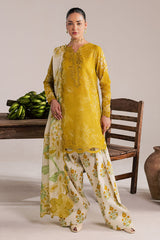 Nureh Daily Delights Lawn-DD-35