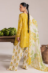 Nureh Daily Delights Lawn-DD-35