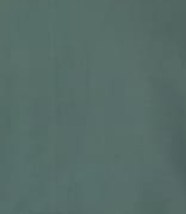 WashNWear Mens Unstiched-D07 (Mint Green)