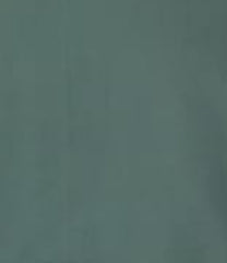 WashNWear Mens Unstiched-D07 (Mint Green)