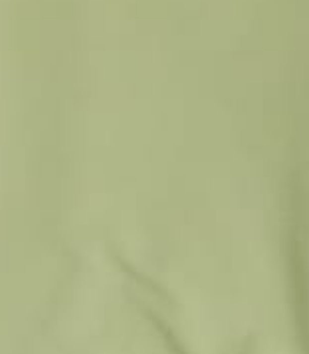 WashNWear Mens Unstiched-D09 (Pista Green)