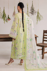 Nureh Daily Delights Lawn-DD-34