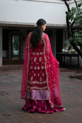 Ayzel Pehli Nazar Festive-Gulbahar