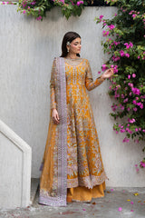 Ayzel Pehli Nazar Festive-Zarafshan