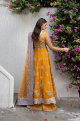 Ayzel Pehli Nazar Festive-Zarafshan