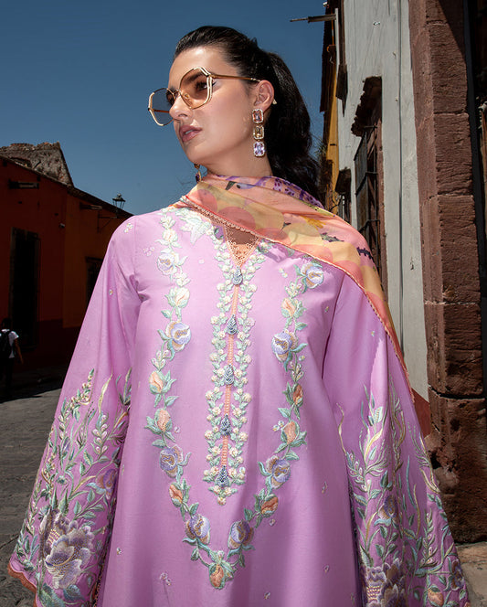 Mushq Odyssey Lawn-D01 Alba