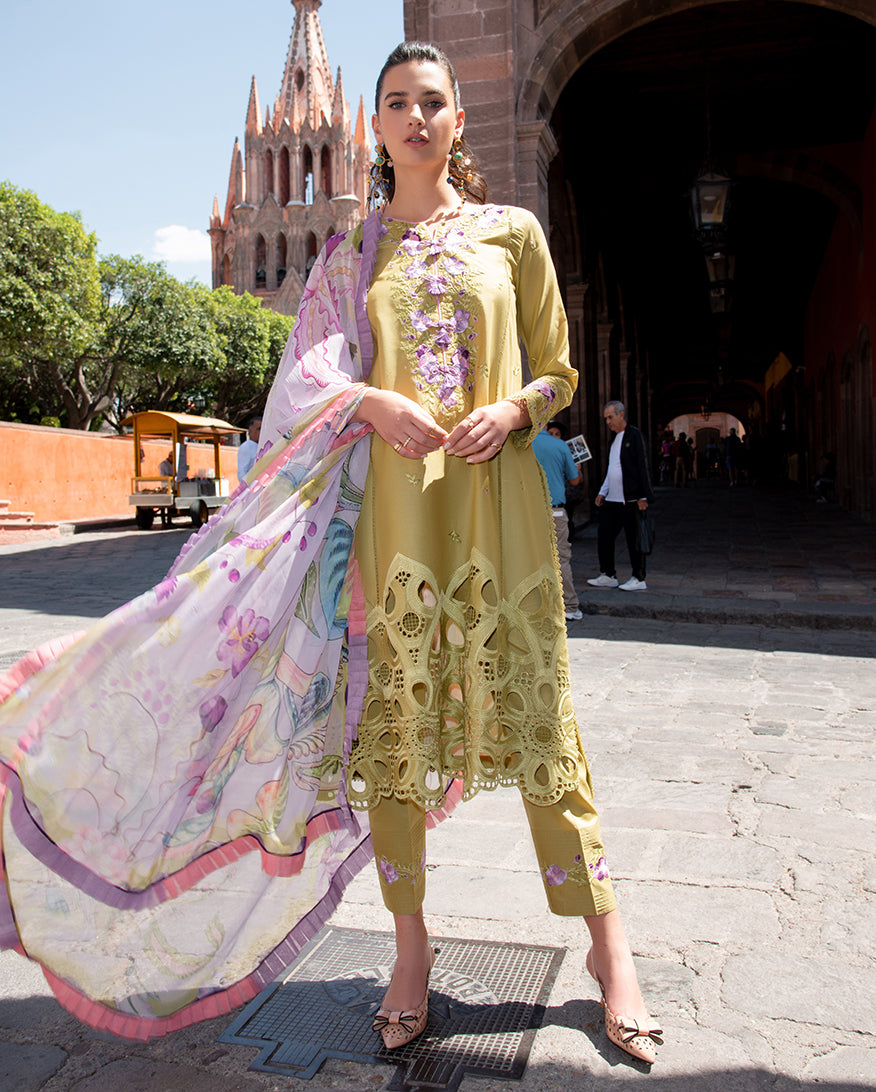 Mushq Odyssey Lawn-D04 Aranza