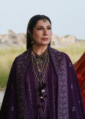 Hussain Rehar Winter-Sassi