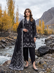 Lakhany Printed Pashmina-LG-SG-0160-C