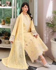 Roheenaz Veil Chikankari Edit-D02