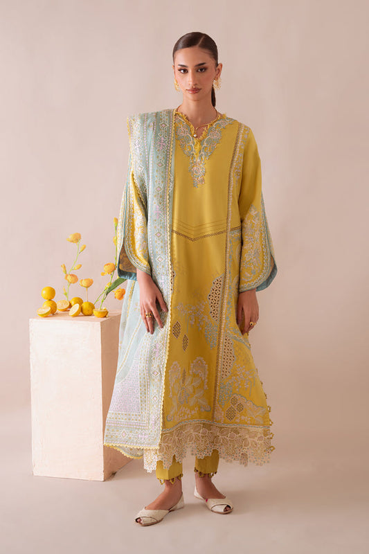 Aabyaan Miraal Emb Viscose-AV-02