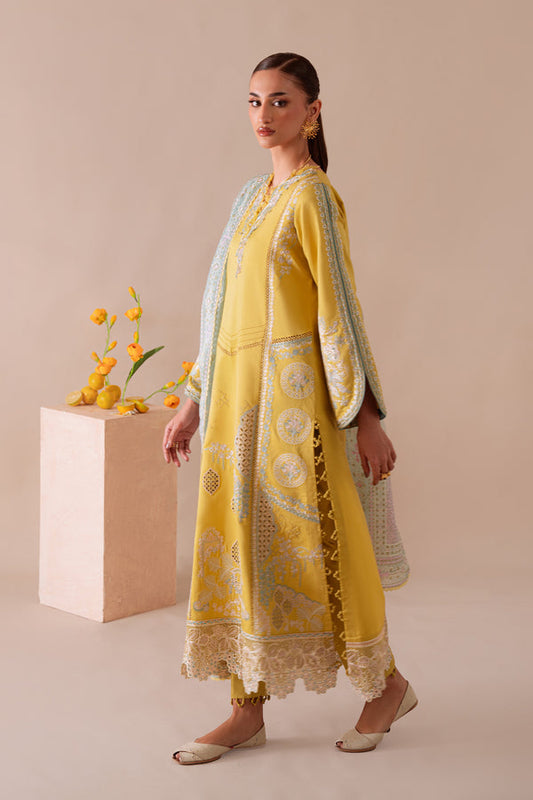 Aabyaan Miraal Emb Viscose-AV-02
