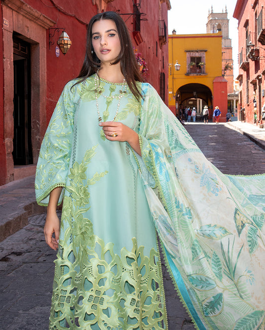 Mushq Odyssey Lawn-D01 Paloma