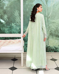 Roheenaz Veil Chikankari Edit-D07