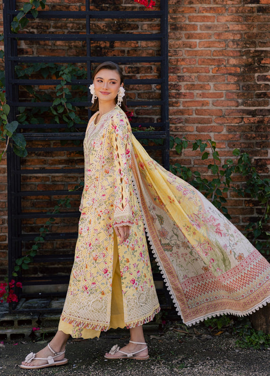 Aabyaan Shezlin Chikankari-ZEHRAAYE