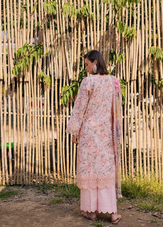 Aabyaan Shezlin Chikankari-NAQSH
