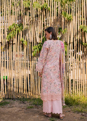 Aabyaan Shezlin Chikankari-NAQSH