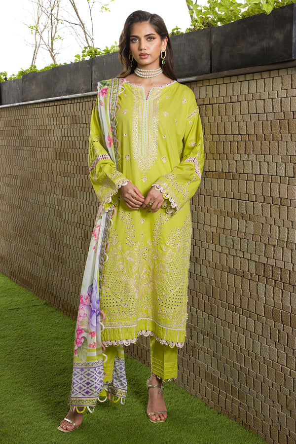 Zellbury Chikankari Cotton-D0081