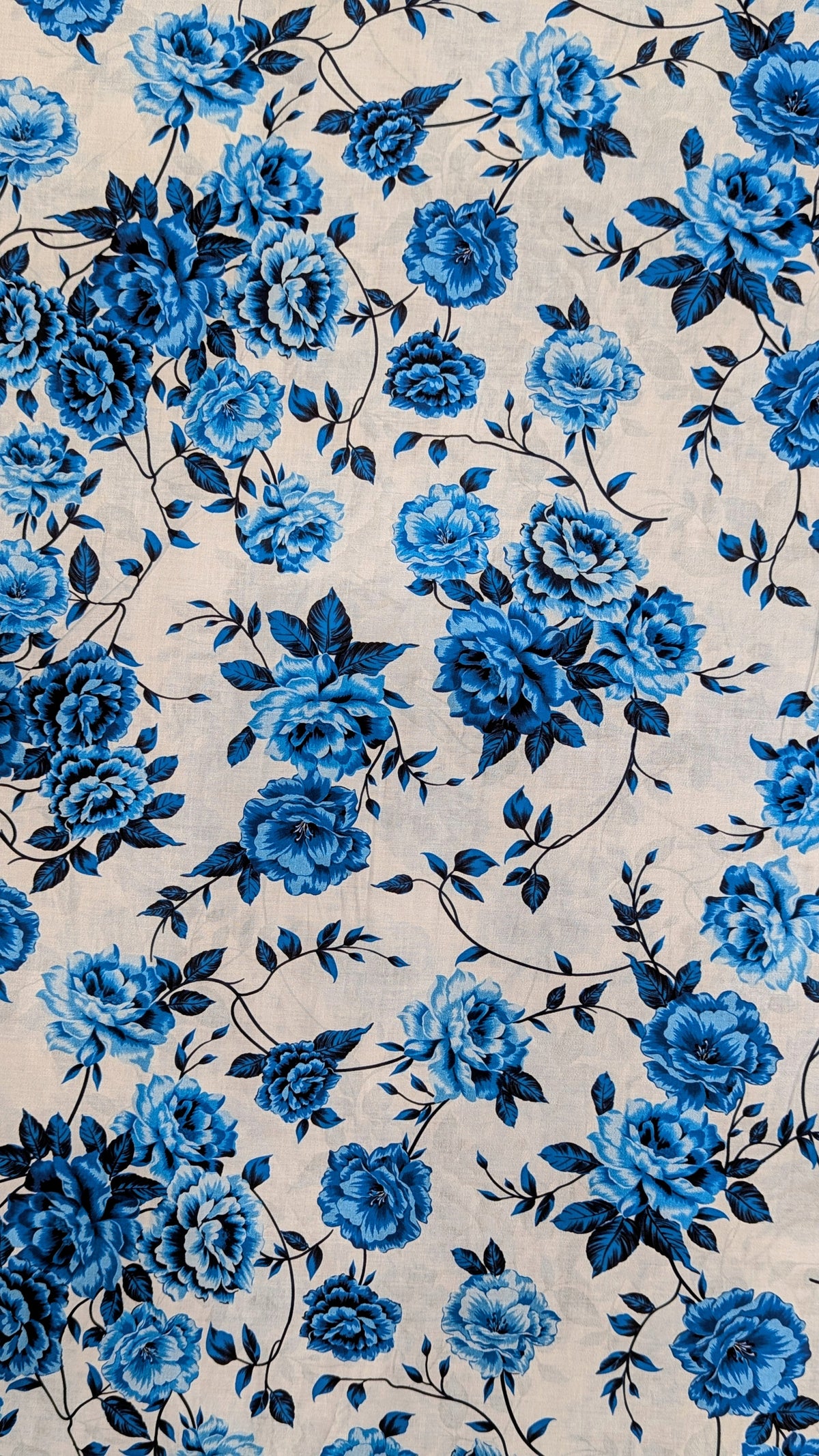 Sahla Signature 02 Piece Printed Lawn