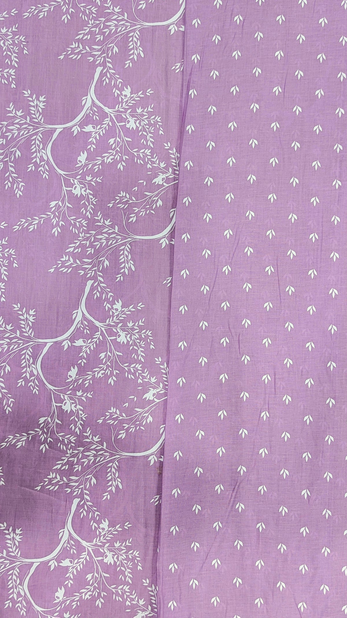 Rimsha Classic 02 Piece Printed Lawn