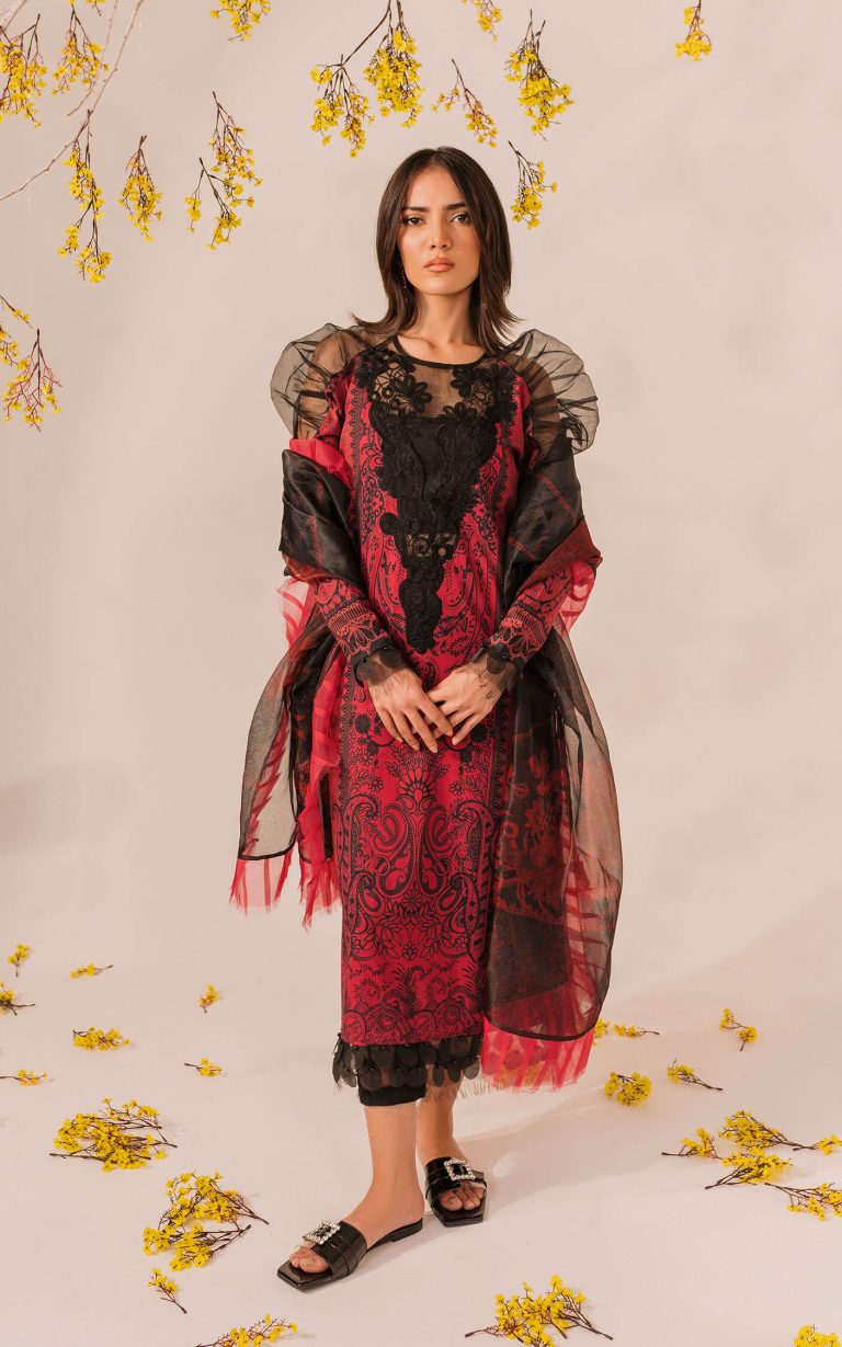 Asifa&Nabeel Meraki D11