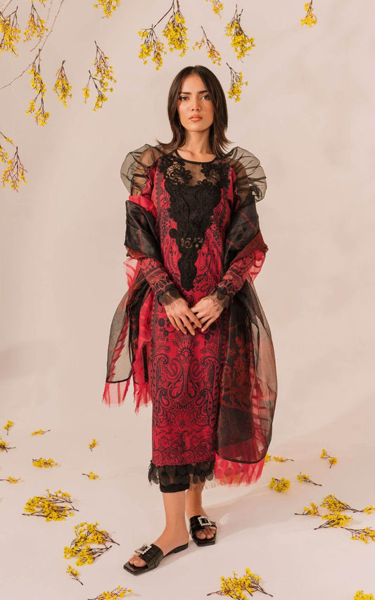 Asifa&Nabeel Meraki D11