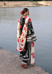 Hussain Rehar Karandi-Rose